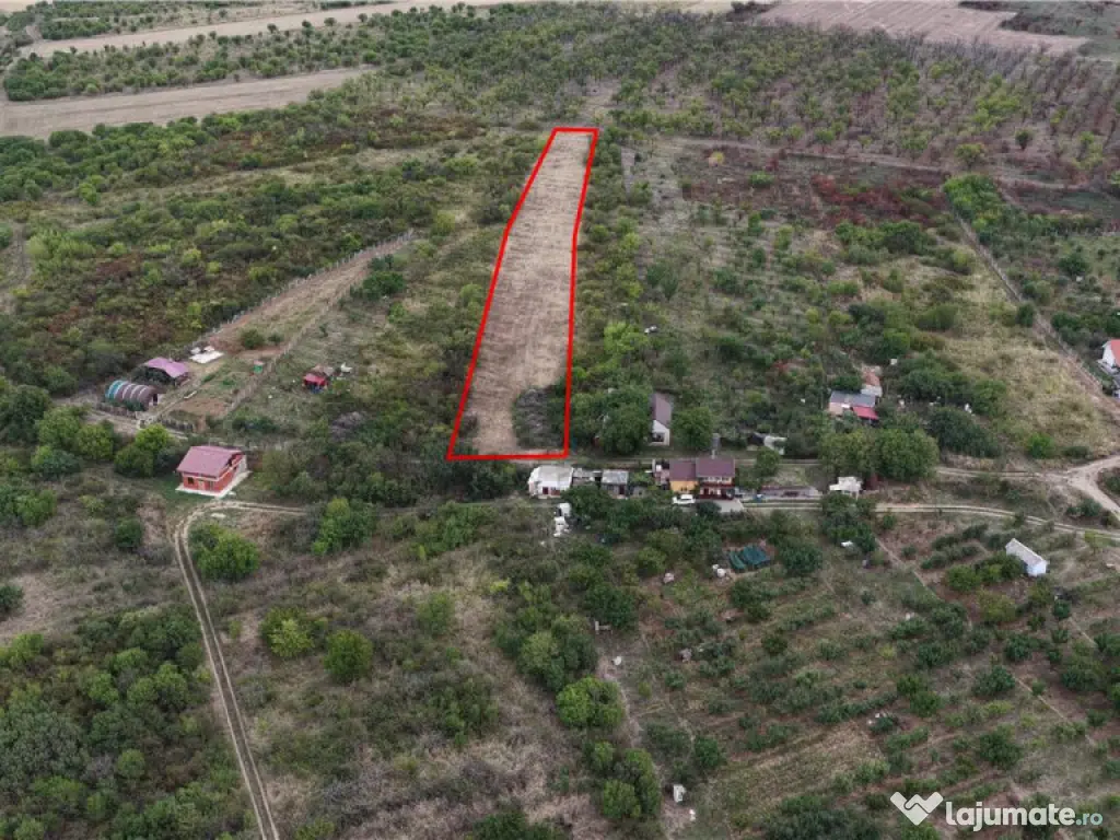 RECO Teren Episcopia 