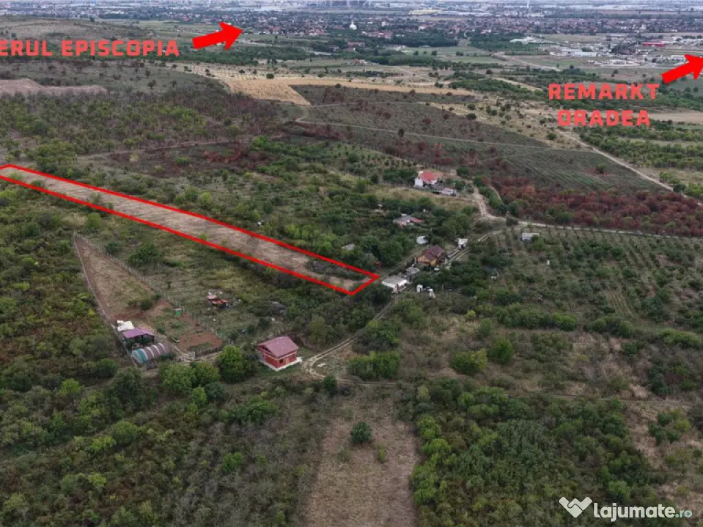 RECO Teren Episcopia 