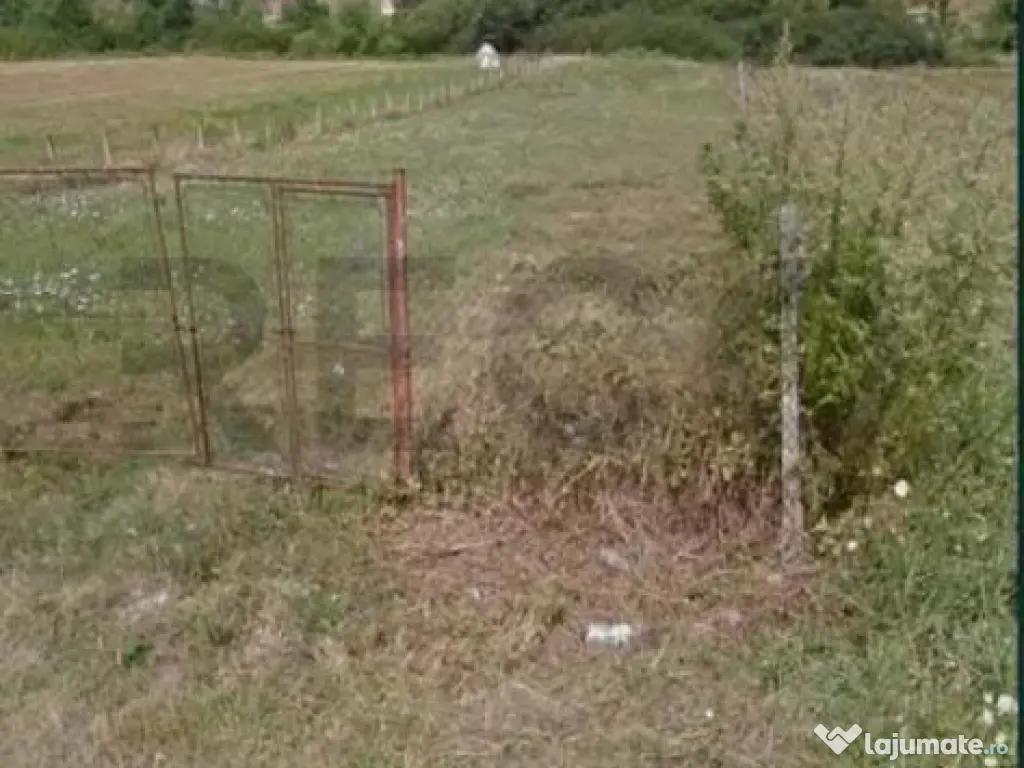 RECO Teren intravilan Beius 