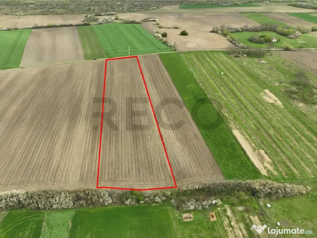 RECO . TEREN INTRAVILAN OSORHEI 