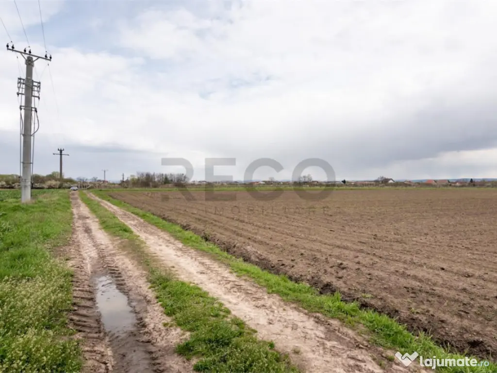 RECO . TEREN INTRAVILAN OSORHEI 