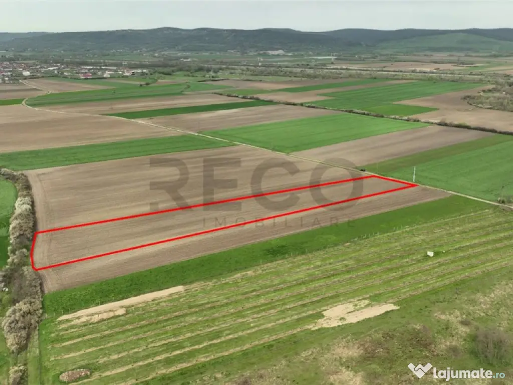 RECO . TEREN INTRAVILAN OSORHEI 