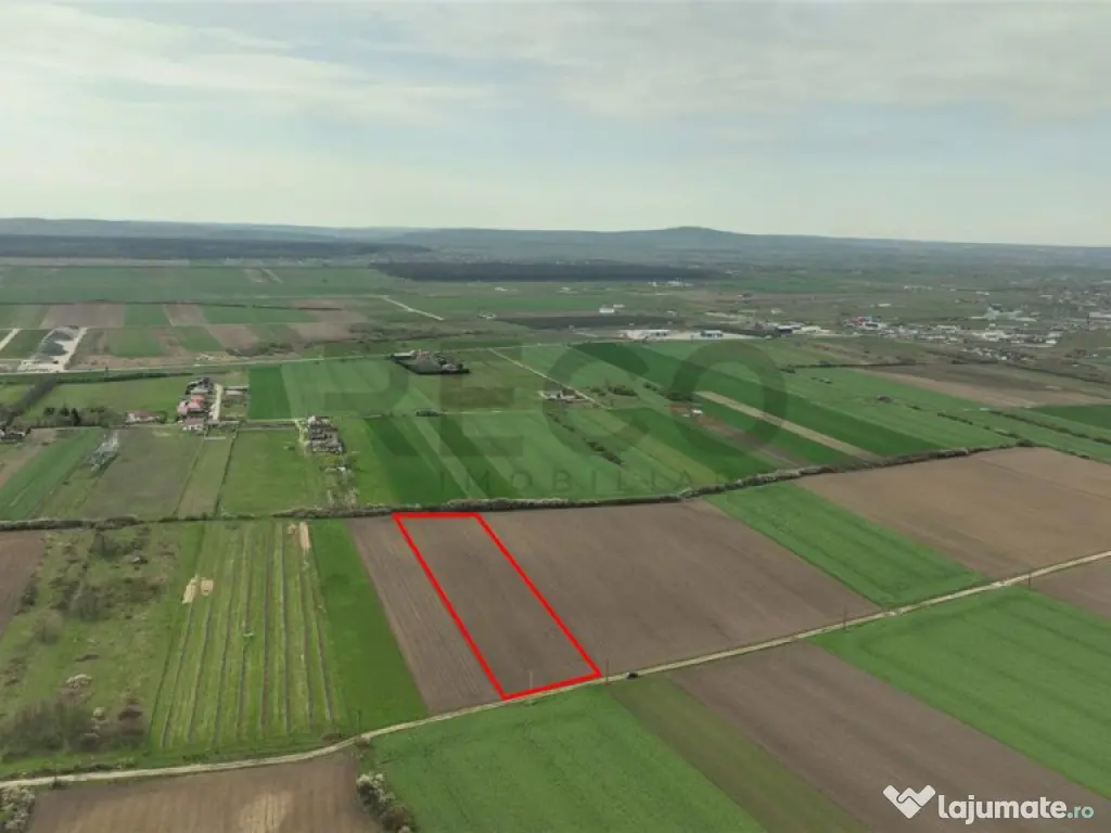 RECO . TEREN INTRAVILAN OSORHEI 