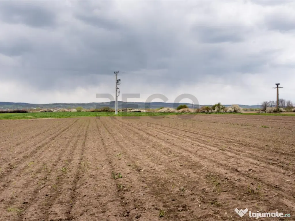 RECO . TEREN INTRAVILAN OSORHEI 