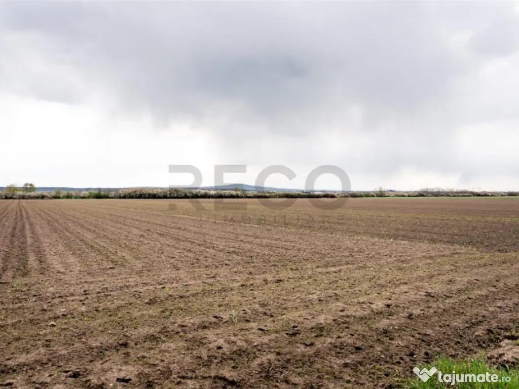 RECO . TEREN INTRAVILAN OSORHEI 