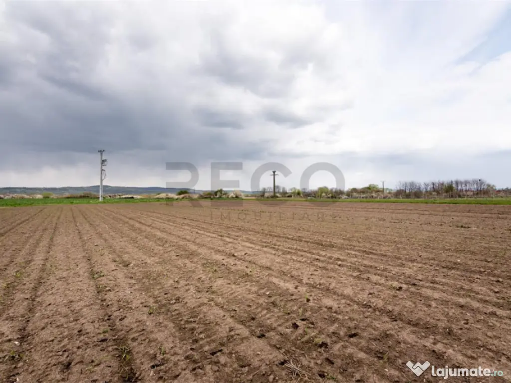 RECO . TEREN INTRAVILAN OSORHEI 