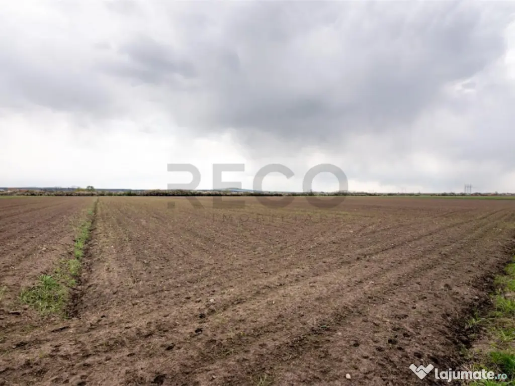 RECO . TEREN INTRAVILAN OSORHEI 