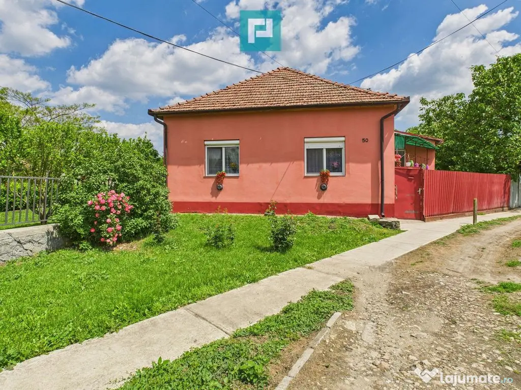 Casă cu 3 camere și teren generos lângă frontieră 