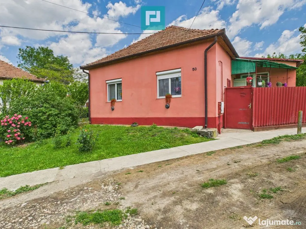 Casă cu 3 camere și teren generos lângă frontieră 