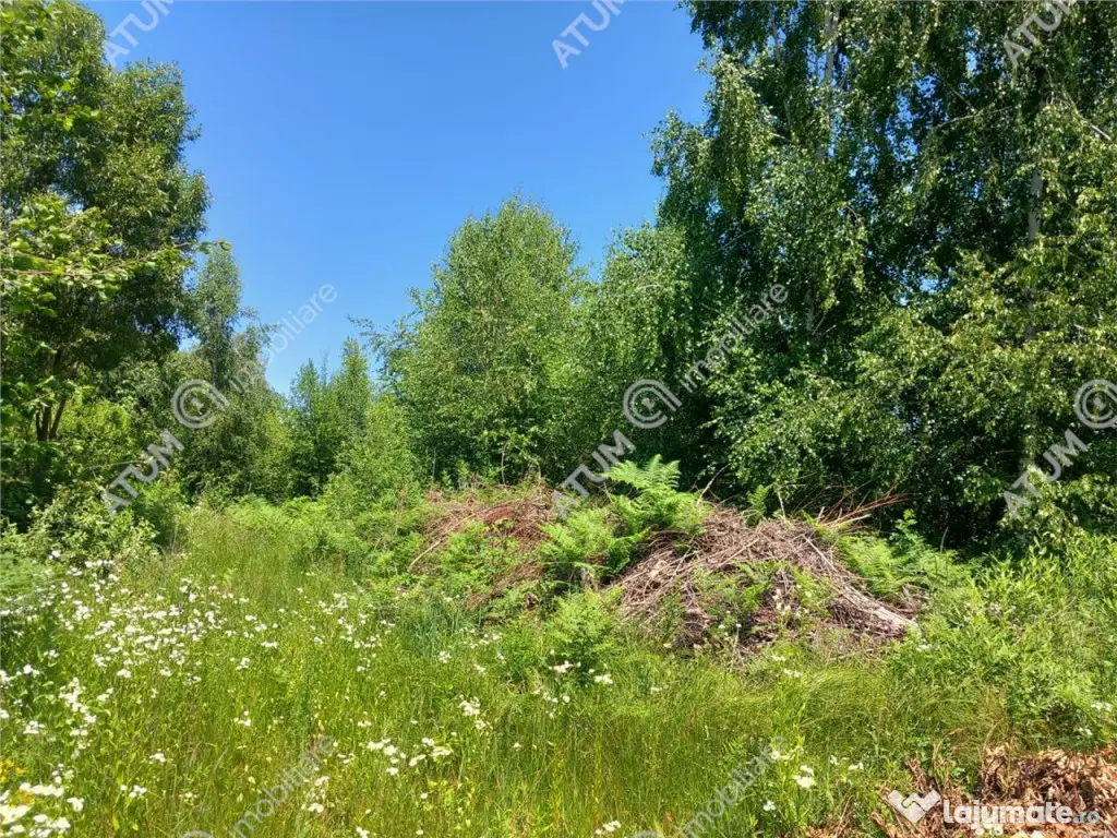 Teren intravilan 500 mp in Porumbacu de Sus, Sibiu 