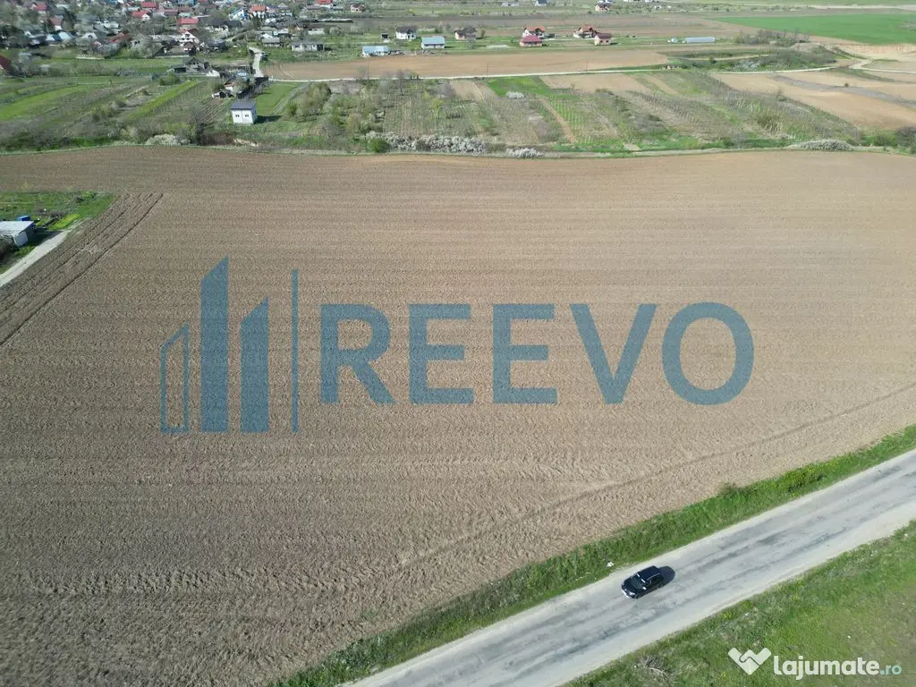 Teren de vânzare, Com. Nicolae Bălcescu, Jud. Bacău 