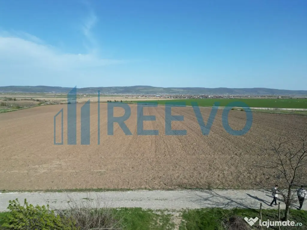Teren de vânzare, Com. Nicolae Bălcescu, Jud. Bacău 