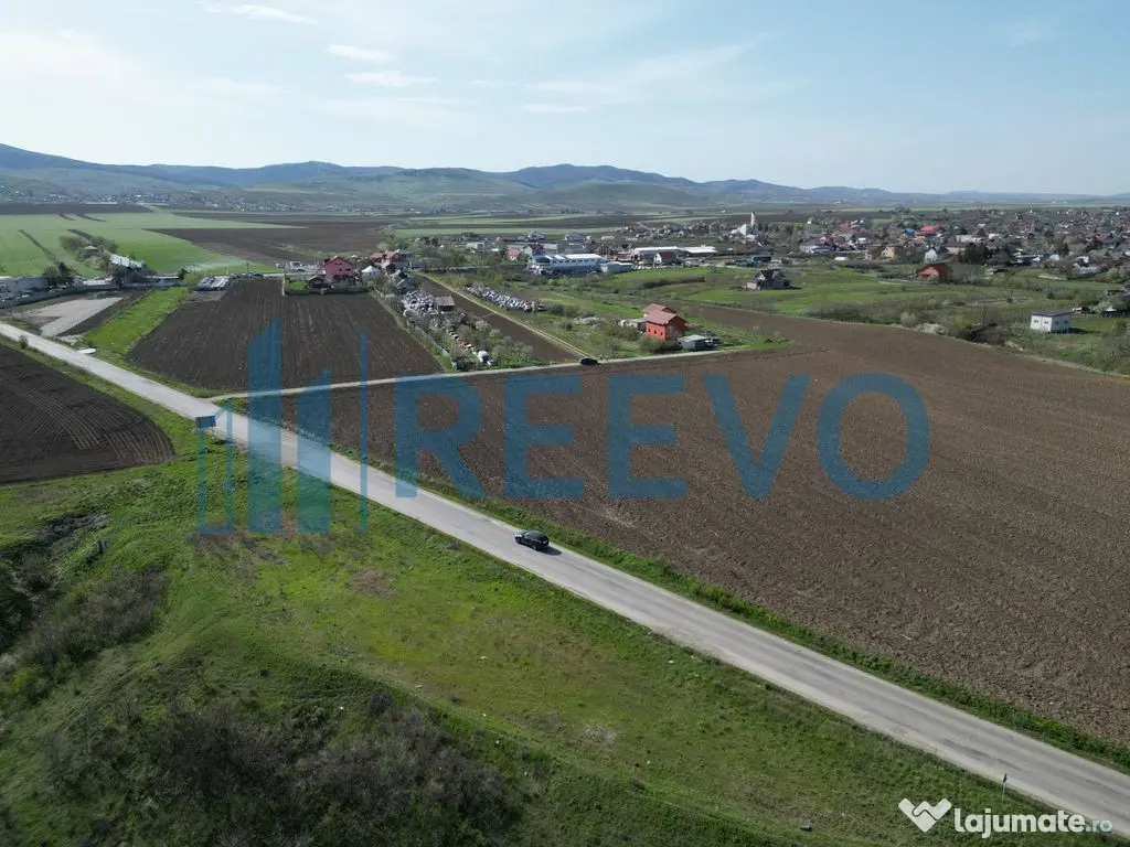 Teren de vânzare, Com. Nicolae Bălcescu, Jud. Bacău 