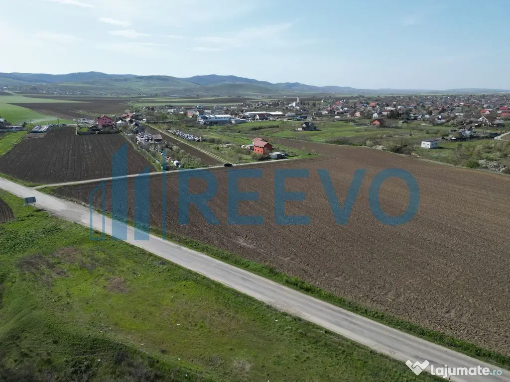 Teren de vânzare, Com. Nicolae Bălcescu, Jud. Bacău 