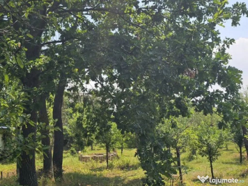 Intravilan 480 mp , loc de casa , zona padure Baicoi Prahova