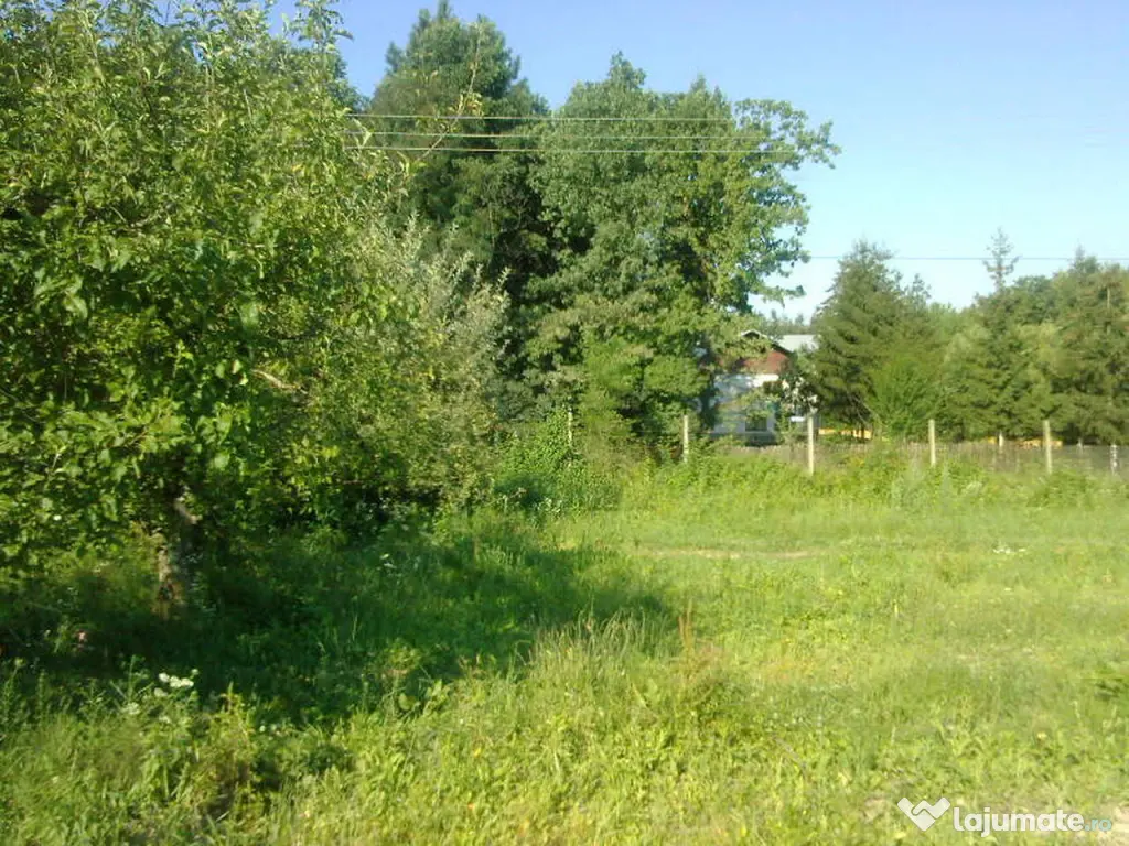 Intravilan 480 mp , loc de casa , zona padure Baicoi Prahova