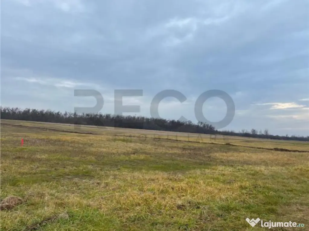 RECO Teren intravilan cu PUZ, la 4 minute de oras ,720 mp,Pa