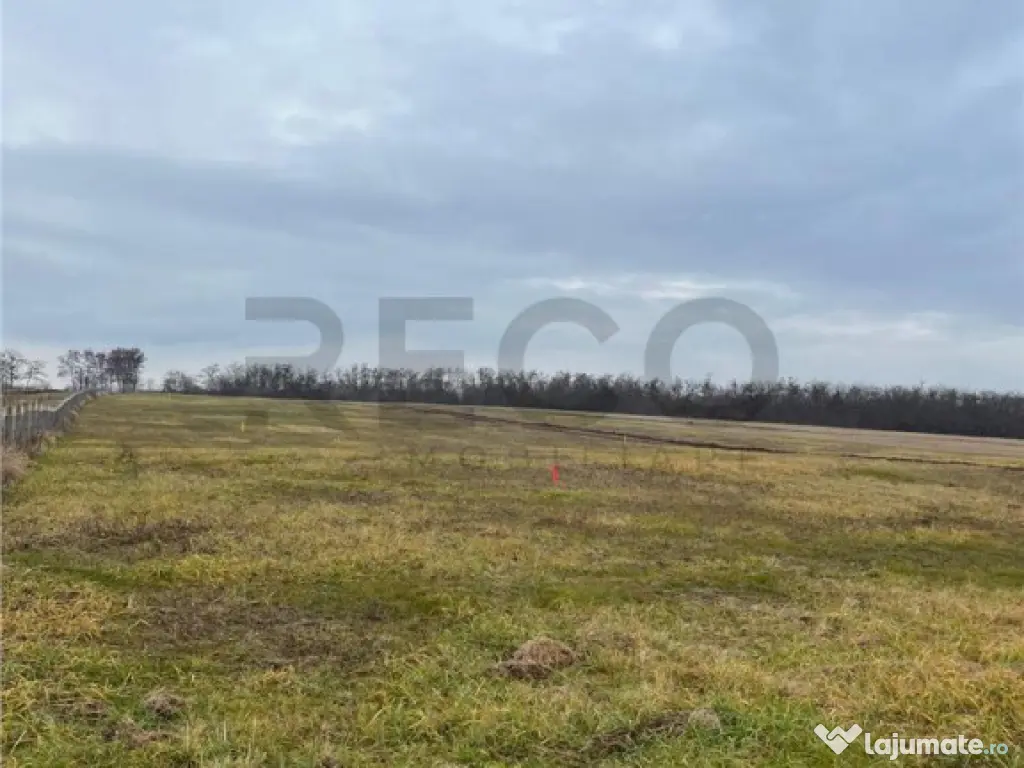 RECO Teren intravilan cu PUZ, la 4 minute de oras ,720 mp,Pa