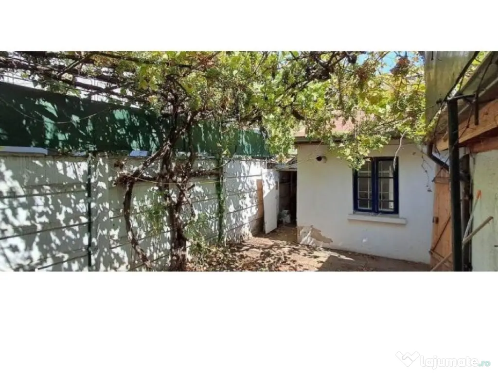 1 Mai Domenii - casa, 4 camere, curte, multiple dependinte, parcare 