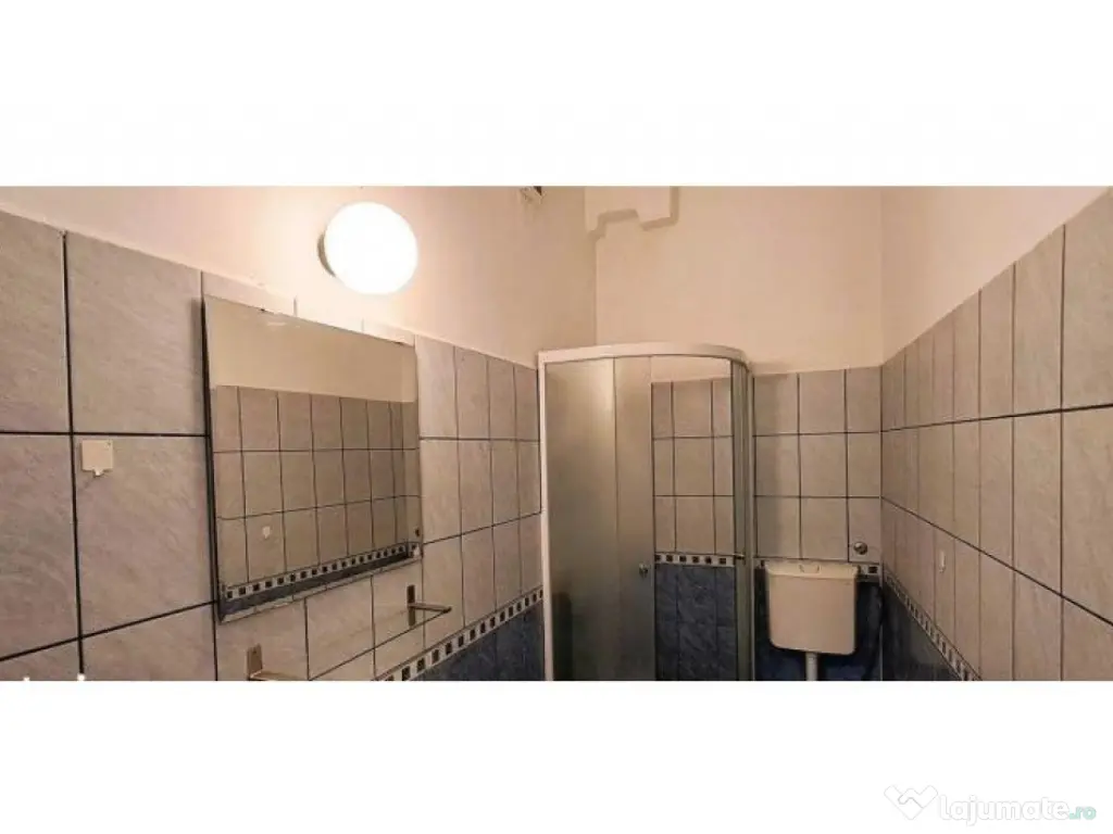 1 Mai Domenii - casa, 4 camere, curte, multiple dependinte, parcare 