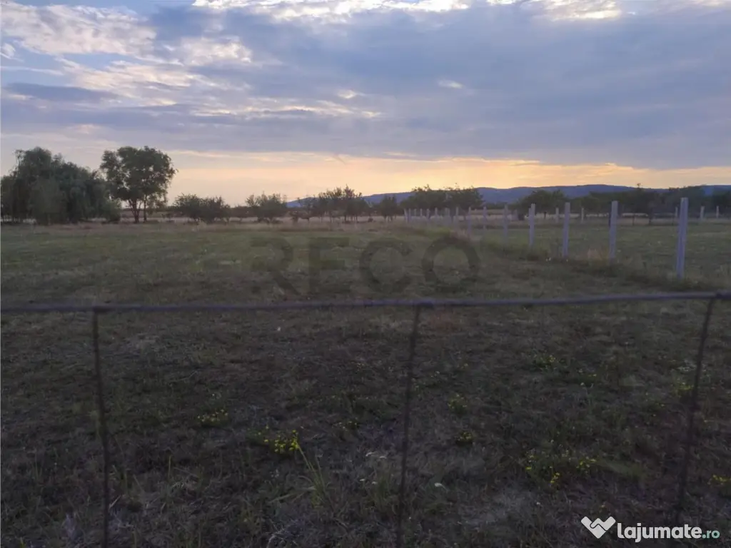 RECO Teren intravilan,Osorhei