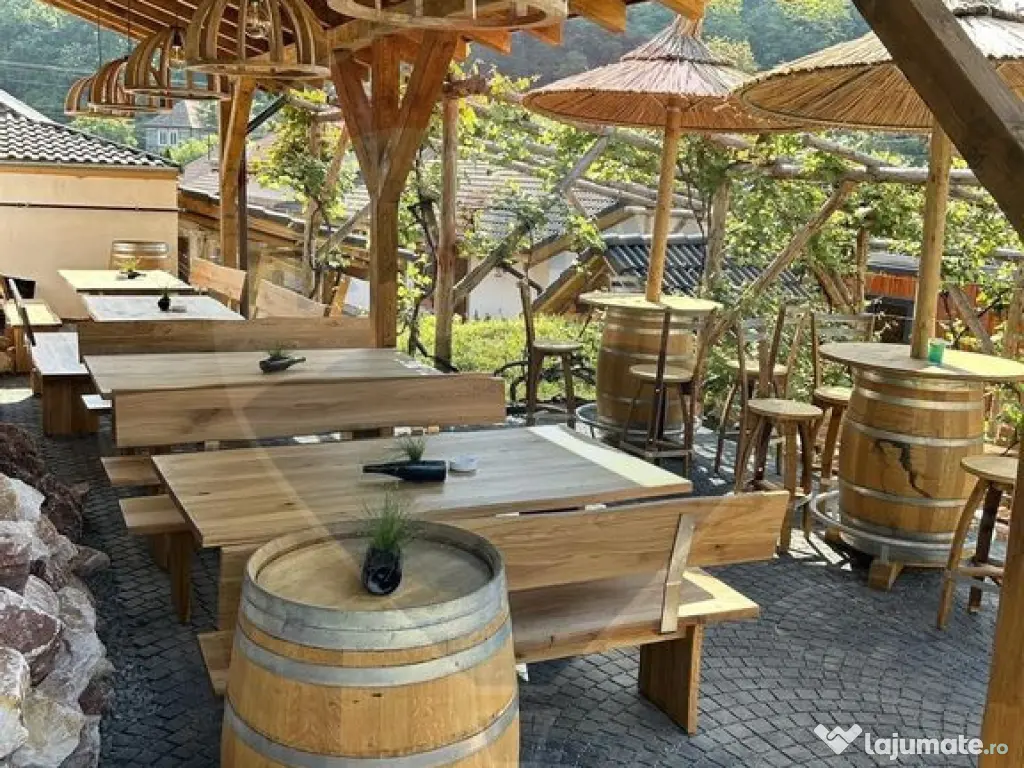 Pensiune cu 15 unități de cazare în Mediaș