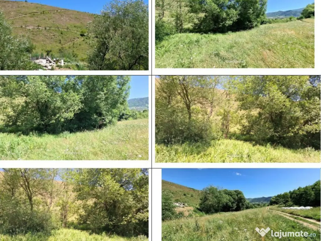 Teren 5000 mp, Loc. Sieu, Jud Maramures 