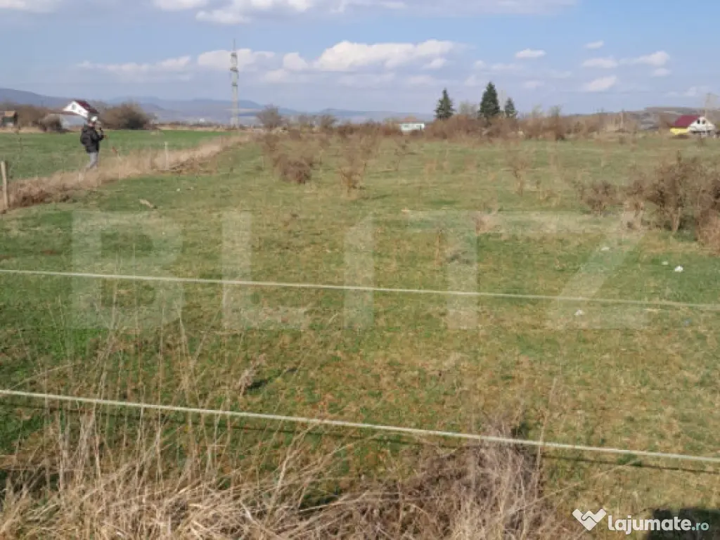 Teren intravilan 5000 mp, investiție într-o zonă în dezv