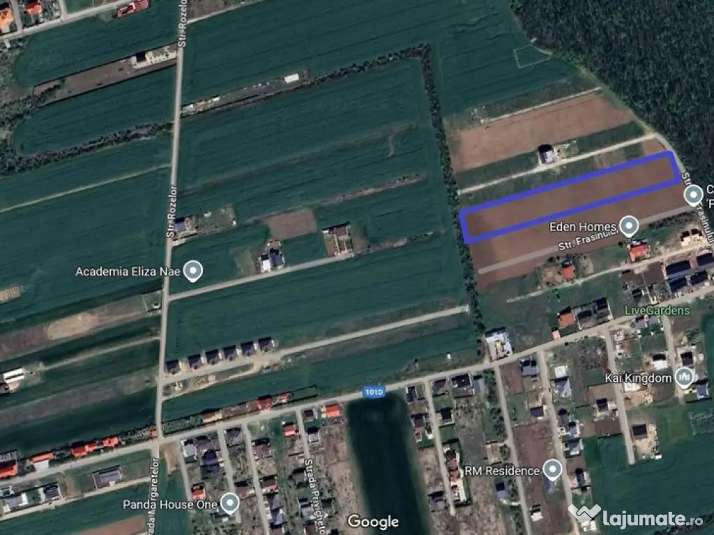 Balotesti- Dumbraveni- Padure 