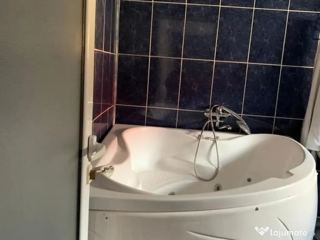 Exclusivitate - Casa individuala zona centrala, str. Vultur