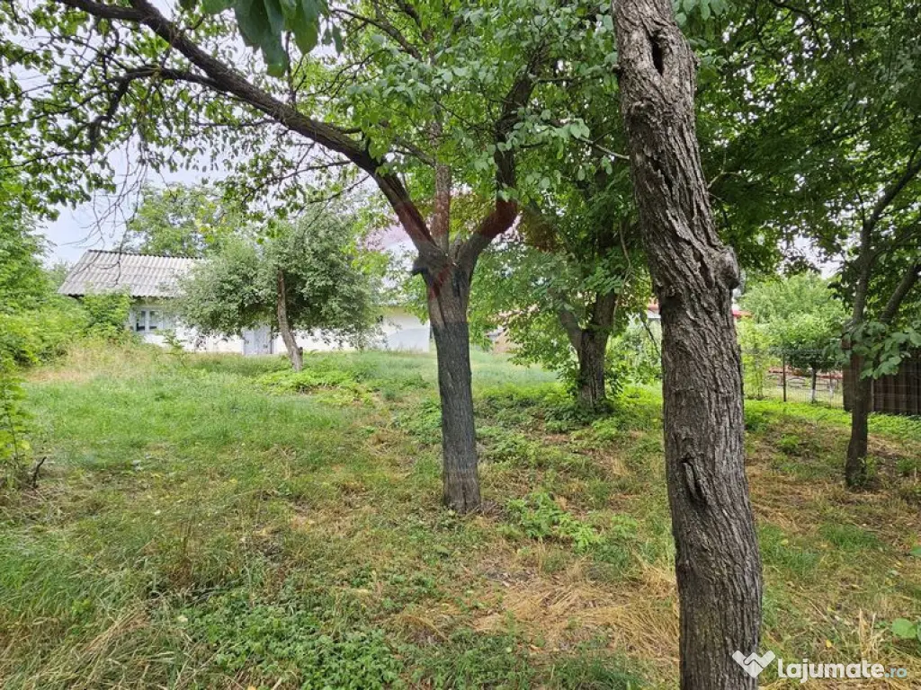 Casa de vânzare cu teren 9200 mp, Pădureni-Șendriceni,... 