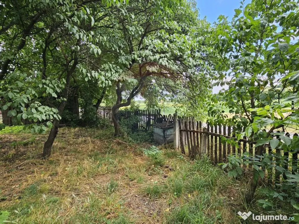 Casa de vânzare cu teren 9200 mp, Pădureni-Șendriceni,... 