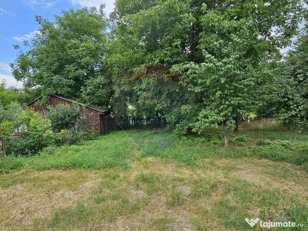 Casa de vânzare cu teren 9200 mp, Pădureni-Șendriceni,... 