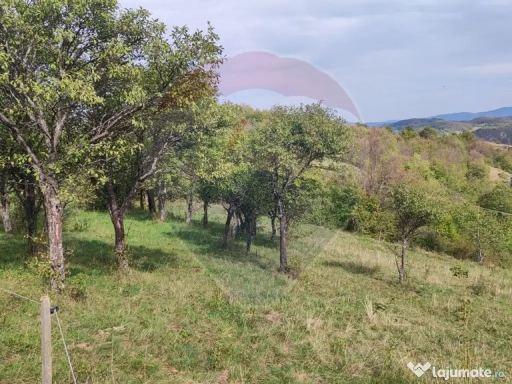 Teren intravilan constructii 1500 mp Damis Bratca drum DJ... 