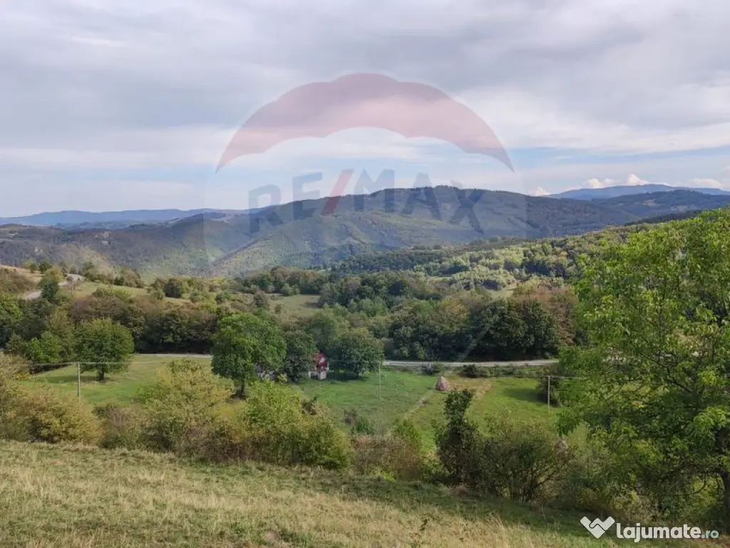 Teren intravilan constructii 1500 mp Damis Bratca drum DJ... 