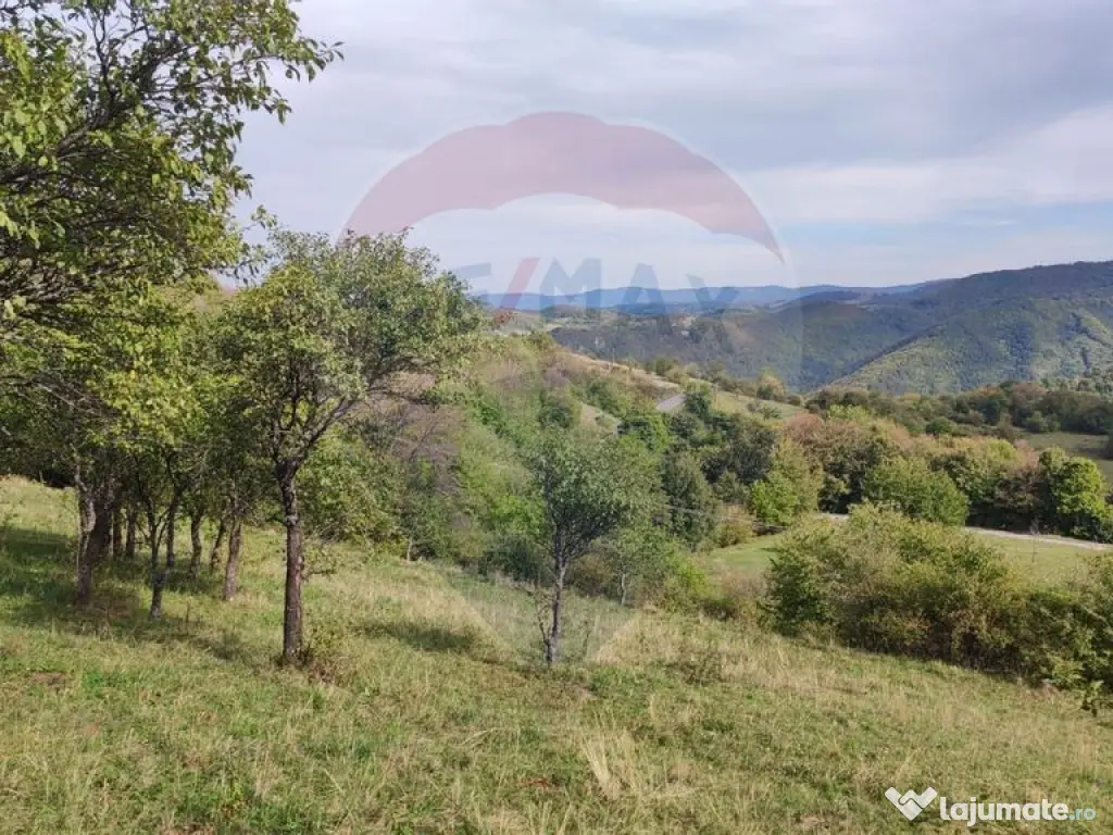 Teren intravilan constructii 1500 mp Damis Bratca drum DJ... 