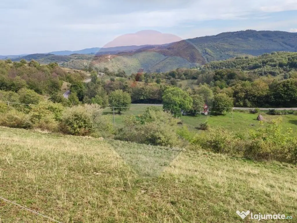 Teren intravilan constructii 1500 mp Damis Bratca drum DJ...