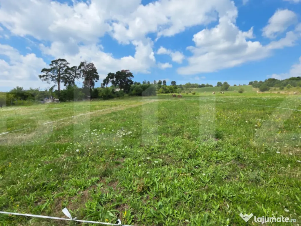 10.000 mp – Potrivit pentru proiect rezidențial sau par