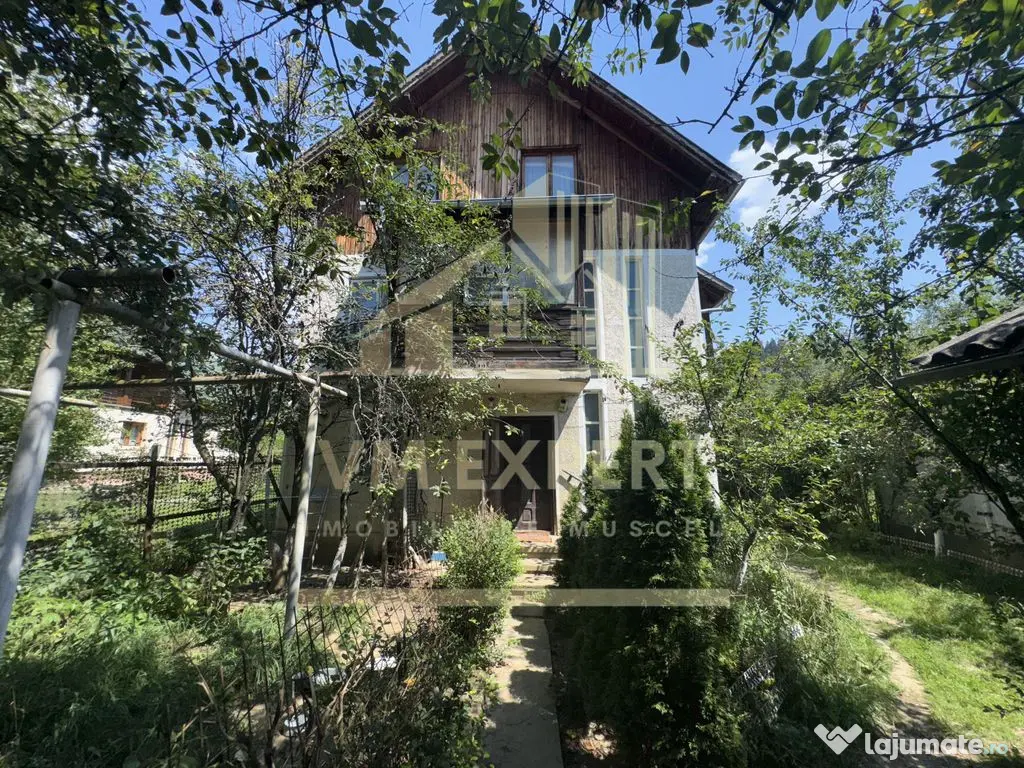 CASA 11 CAMERE TEREN 893 MP LEREȘTI ARGEȘ 