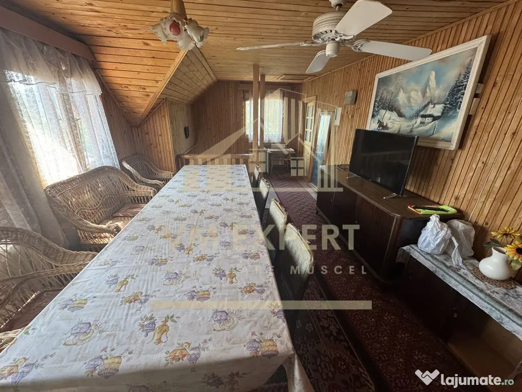 CASA 11 CAMERE TEREN 893 MP LEREȘTI ARGEȘ 