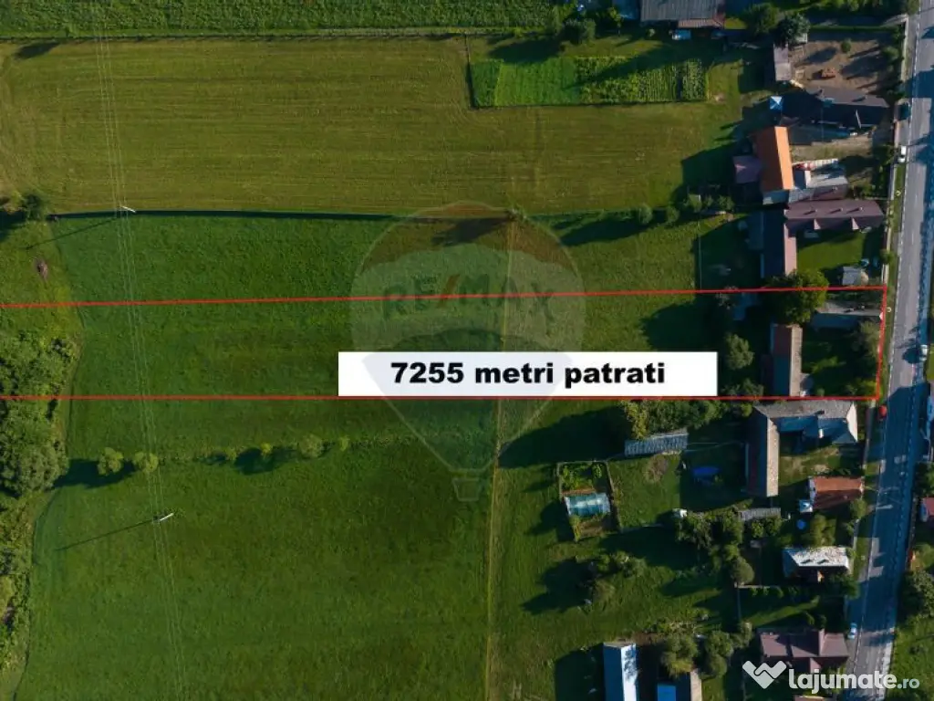 Teren intravilan 7.255 mp +casă rustică – ideal pen... 