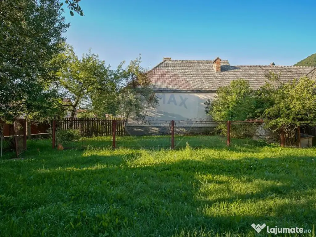 Teren intravilan 7.255 mp +casă rustică – ideal pen... 