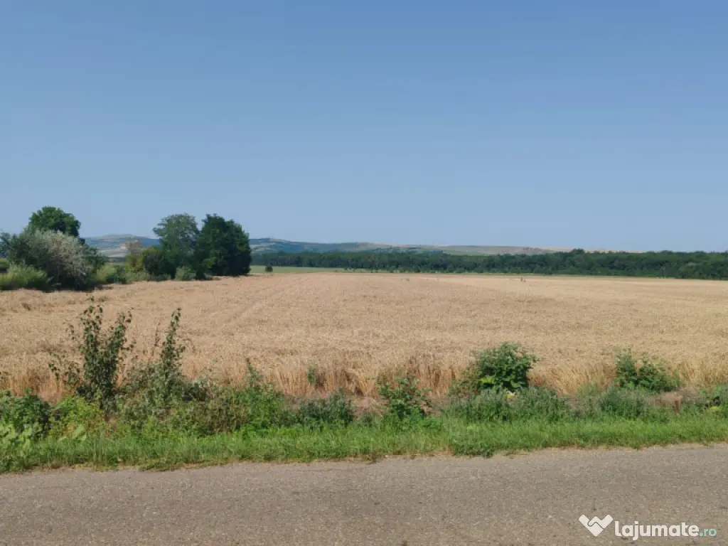 Teren extravilan Balteni la limita intravilanului 