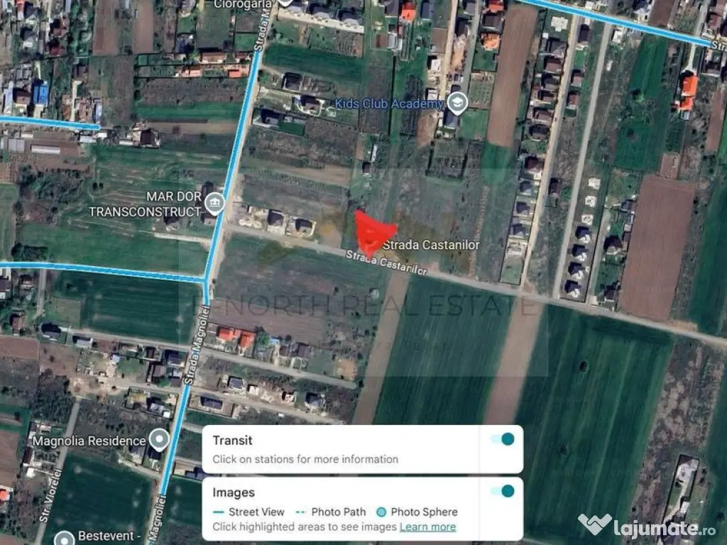 Teren intravilan 5.450 mp – Strada Castanilor, Ciorogâ...