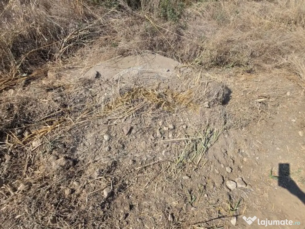 Teren intravilan 5.450 mp – Strada Castanilor, Ciorogâ...