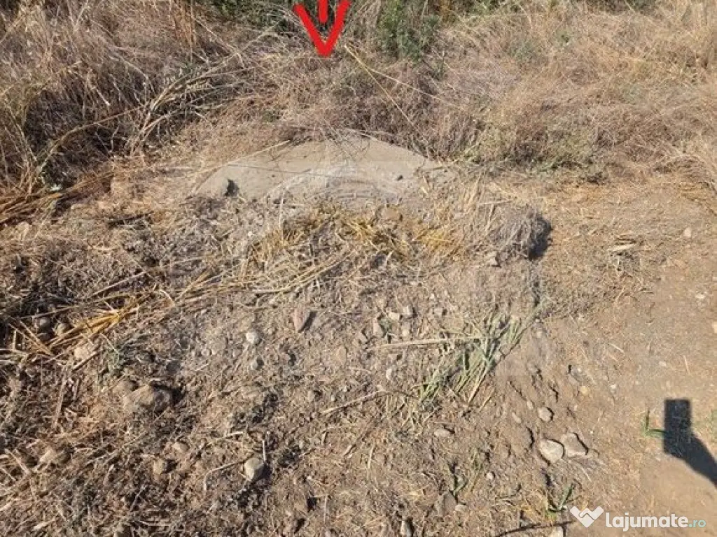 Teren intravilan 5.450 mp – Strada Castanilor, Ciorogâ...