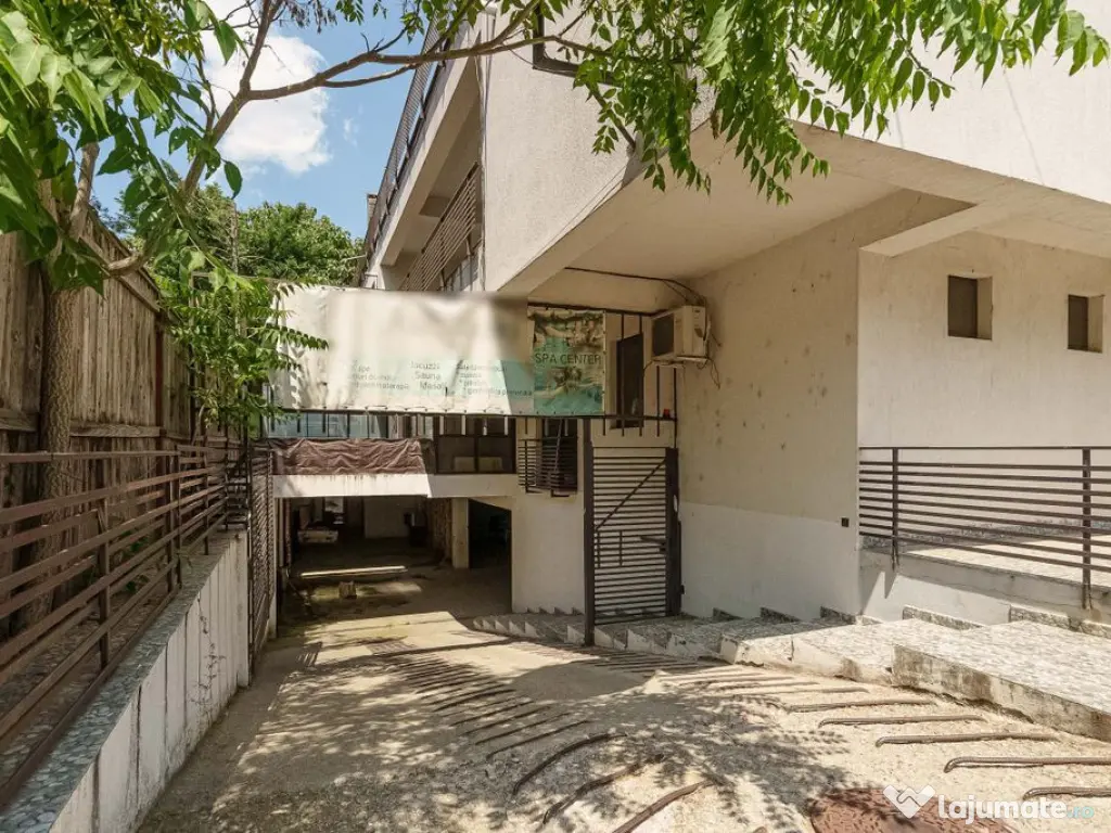 Spatiu comercial 424 mp Oportunitati multiple - Baneasa J... 