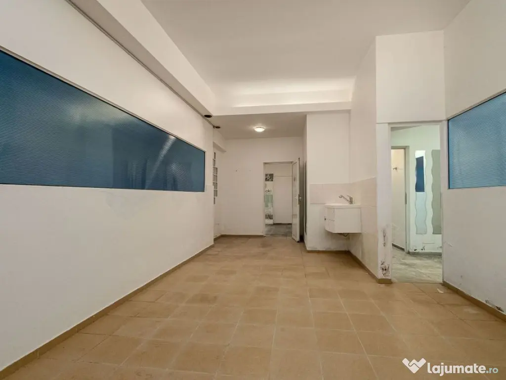Spatiu comercial 424 mp Oportunitati multiple - Baneasa J... 
