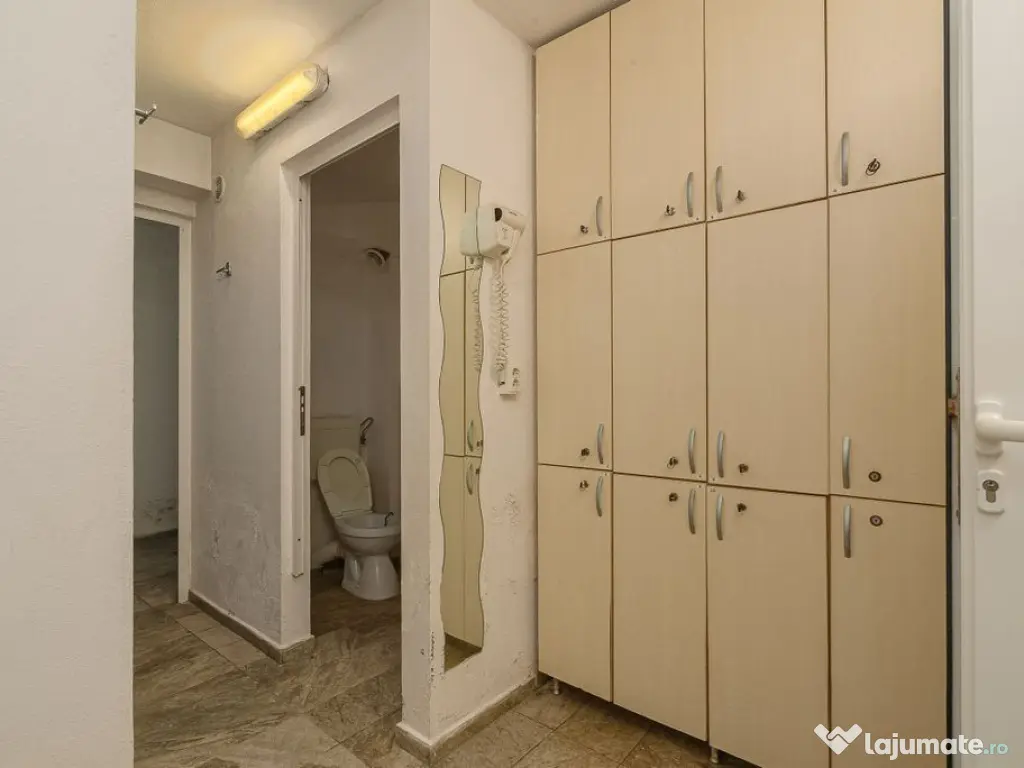 Spatiu comercial 424 mp Oportunitati multiple - Baneasa J... 