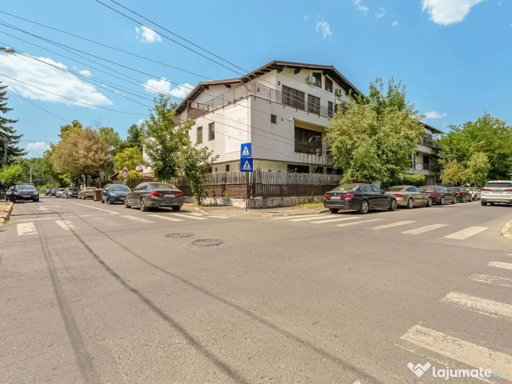 Spatiu comercial 424 mp Oportunitati multiple - Baneasa J... 